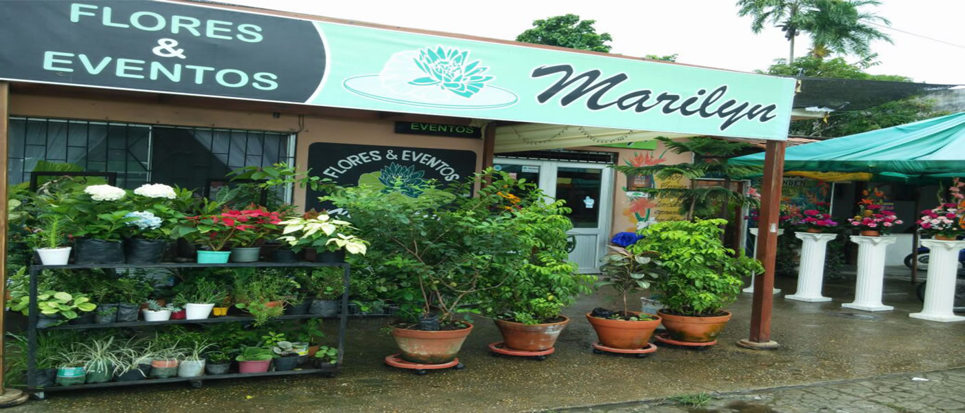 Arreglos Florales