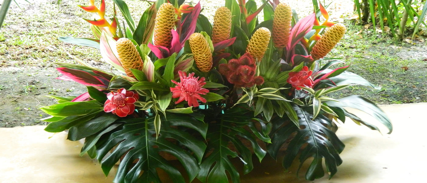 Arreglos Florales